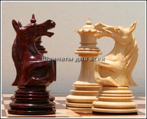 Шахматы линарес 2009