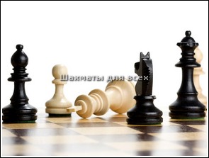 Шахматы 1 разряд