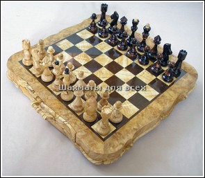 Игры шашки и шахматы
