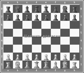 Какие в шахматах фигуры