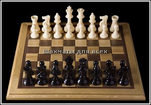 Шахматы анапа