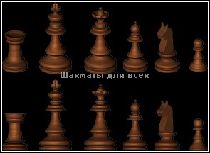 Шахматы на вадковском