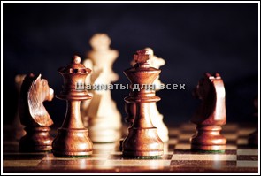 Шахматы nokia x6