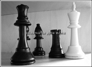 Школа шахмат онлайн