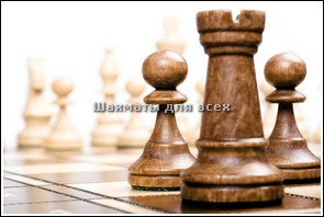 Шахматы chess set