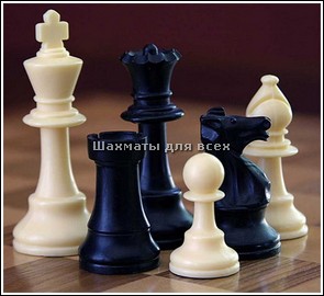 Бесплатные игры шашки и шахматы