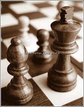 Играть в шахматы дурака