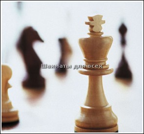 Шахматы 1992