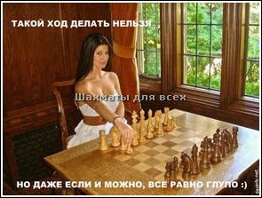 Шахматы занятия