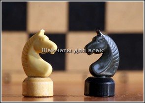 Шахматы играть друг с другом