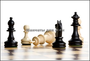 Игра в шахматы с человеком