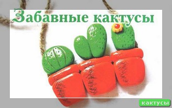 Купить кактусы в минске