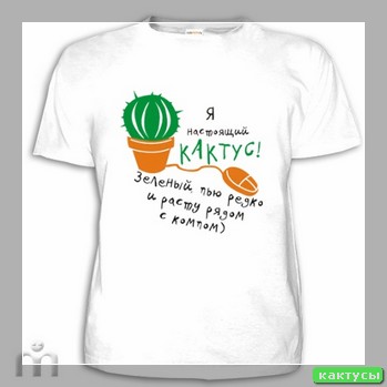 Испания кактус плая